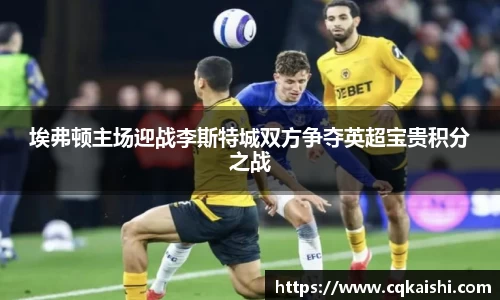 埃弗顿主场迎战李斯特城双方争夺英超宝贵积分之战